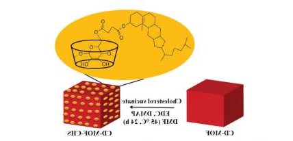 CD-MOF-CHS纳米粒