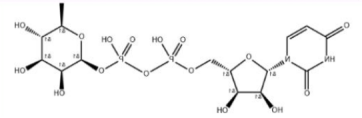 UDP-rhamnose UDP-rhamnose