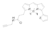 荧光染料BDP 558/568 alkyne，炔基修饰的荧光染料激发波长是多少？