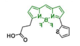 荧光染料BDP 558/568 COOH，CAS:150173-72-1的参数及结构式