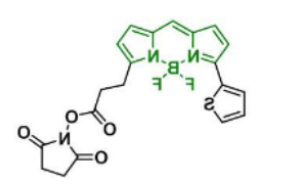 荧光染料BDP 558/568 NHS ester，CAS:150173-73-2保存条件及保存时间介绍