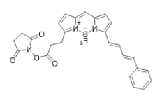 荧光染料BDP 581/591 NHS ester/NHS活化酯的溶解性如何？