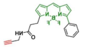 荧光染料BDP R6G alkyne炔基/炔烃，CAS:2006345-31-7的存储条件及物化参数