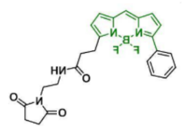 荧光染料BDP R6G maleimide/马来酰亚胺  CAS:2183473-32-5的激发发射波长是多少？