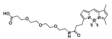 荧光染料BODIPY FL-PEG3-COOH/carboxylic acid/羧基羧酸的激发发射波长及参数介绍
