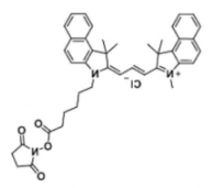 荧光染料Cyanine3.5 NHS ester/琥珀酰亚胺活化酯(Methyl)  CAS:2231670-85-0，脂性Cy3.5 活性酯的溶于哪些溶剂？