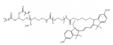 花菁染料Cy3-PEG-DSPE/聚乙二醇-二硬脂酰基磷脂酰乙醇胺，Ex/Em(nm) 550/570