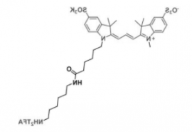 荧光染料diSulfo-Cy3 amine/NH2/氨基，二磺酸基Cy3-胺，CAS:2183440-43-7 是什么颜色的？