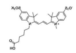 水溶性二磺酸基荧光染料diSulfo-Cy3 carboxylic acid/COOH/羧基羧酸(Methy)，CAS:1121756-11-3