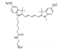 水溶性二磺酸基diSulfo-Cy5 amine/NH2/氨基(Methyl甲基)，Ex/Em(nm) 646/662