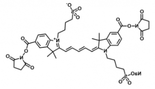 水溶性磺酸基荧光染料diSulfo-Cy5 bis-NHS ester/琥珀酰亚胺活化酯 ，溶解性：溶于water,alcohols, DMSO, DMF