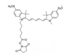 水溶性二磺酸基荧光染料diSulfo-Cy5 NHS ester/琥珀酰亚胺活化酯(Methyl，甲基)，CAS:2230212-27-6;937739-58-7