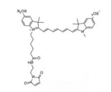 水溶性二磺酸基花菁染料diSulfo-Cy7 maleimide/马来酰亚胺(Methyl甲基)，深绿色固体粉末，Ex/Em(nm) 750/773