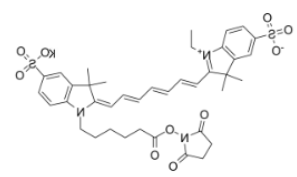 水溶性二磺酸基diSulfo-Cy7 NHS ester/琥珀酰亚胺活化酯(Ethyl乙基)，CAS:477908-53-5，深绿色固体粉末