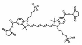 水溶性吲哚菁绿disulfo-ICG Bis-NHS ester/琥珀酰亚胺活化酯(Bis），激发发射波长Ex/Em(nm) 755/787