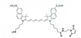 水溶性吲哚菁绿荧光染料diSulfo-ICG maleimide/马来酰亚胺，激发发射波长Ex/Em(nm) 751/830