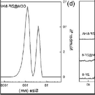 ZIF--8包载姜黄素纳米材料