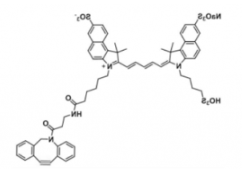 水溶性三磺酸基荧光染料triSulfo-Cy5.5 DBCO/二苯基环辛炔，激发发射波长Ex/Em(nm) 673/691