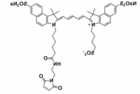 水溶性三磺酸基triSulfo-Cy5.5 maleimide/马来酰亚胺，溶解度 water,alcohols, DMSO, DMF，Ex/Em(nm) 673/691