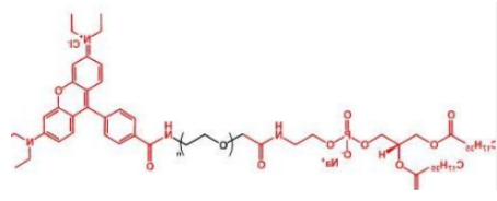 荧光染料罗丹明聚乙二醇磷脂，Rhodamine-PEG-DSPE，磷脂PEG罗丹明