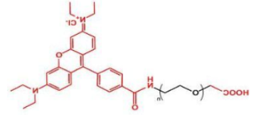荧光染料罗丹明-聚乙二醇-羧基，Rhodamine-PEG-COOH/carboxylic acid/羧基羧酸产品解析