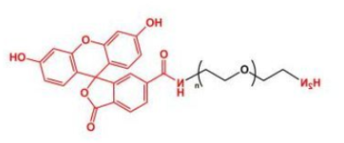 FITC荧光素-聚乙二醇-氨基，FITC-PEG-amine/NH2/氨基 的产品性质解析