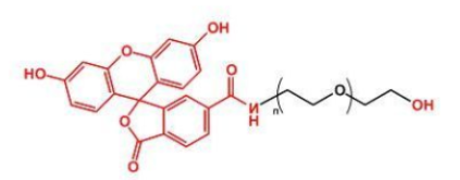 荧光素标记聚乙二醇羟基，FITC-PEG-OH的产品性质及结构式解析