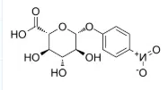 4-nitrophenyl-beta-d-glucuronide