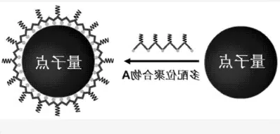 溶性量子点