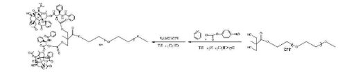 DBCO-PEG-PTX DBCO-PEG-PTX