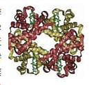 DBCO-Transferrin   