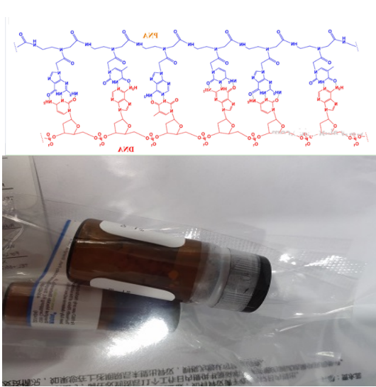 反义肽核酸(asPNA) 反义肽核酸(asPNA)