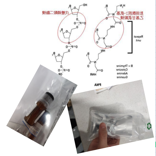 荧光基团香豆素酸OC7标记肽核酸骨架