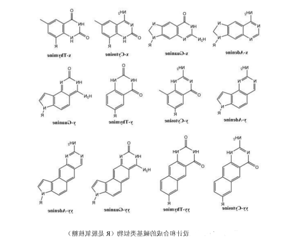 荧光量子点修饰DNA定制服务