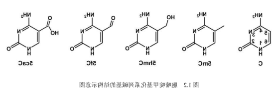 近红外染料CY7.5标记PDNA