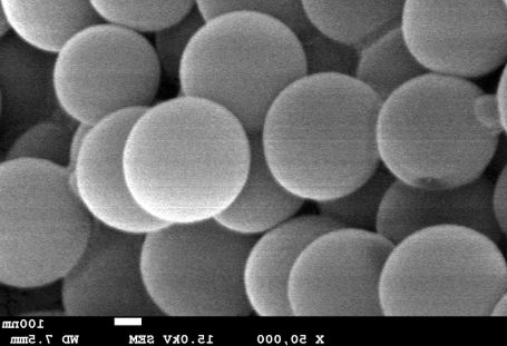  COOH-SiO2 nanospheres