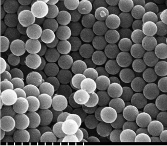 Protein-SiO2 nanospheres Protein-SiO2 nanospheres