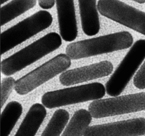 PEG-SiO2 nanorods