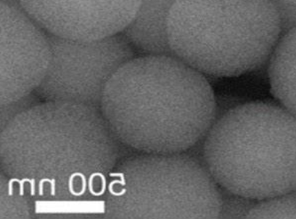 Protein-Mesoporous silica nanospheres