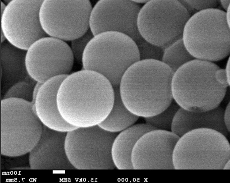  NH2-Pollen silica nanospheres