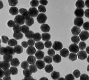 nanoparticles 