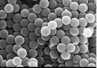  Nanoparticles 