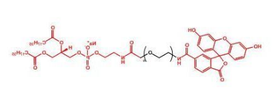 DSPE-PEG-T7(HAIYPRH)