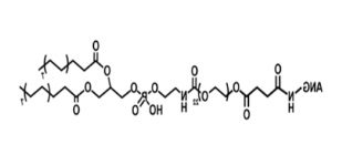 SPE-PEG-Angiopep-2