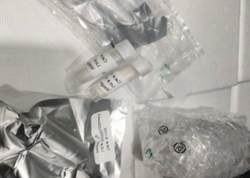 SVA-PEG-hydrazide 3.4k SVA-PEG-hydrazide 3.4k