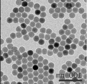 Angiopep血管肽偶联Fe3O4四氧化三铁纳米粒