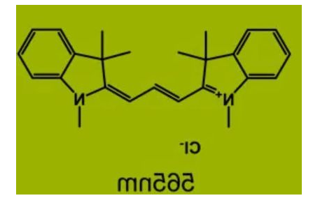 荧光染料CY3偶联聚合物纳米载体