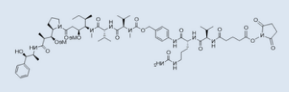OSu-Glu-VC-PAB-MMAE