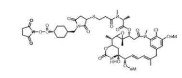 SMCC-DM1