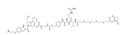 OSu-PEG4-vc-PAB-DMEA Duocarmycin DM